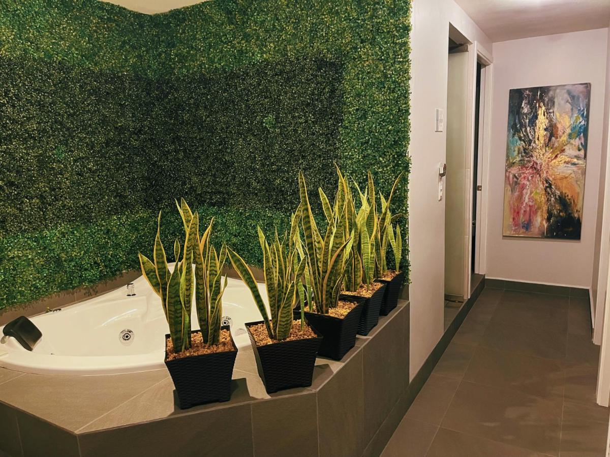 Suites Layfer, Cordoba, Veracruz, Mexico Εξωτερικό φωτογραφία